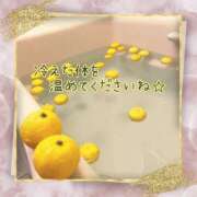 ヒメ日記 2024/12/21 17:26 投稿 みれい 横浜おかあさん