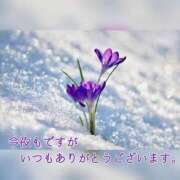 ヒメ日記 2025/01/06 20:35 投稿 みれい 横浜おかあさん