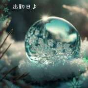 ヒメ日記 2025/01/08 12:25 投稿 みれい 横浜おかあさん