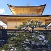 ヒメ日記 2025/01/12 10:11 投稿 みれい 横浜おかあさん