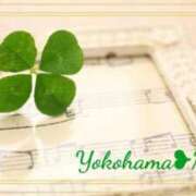 ヒメ日記 2025/01/17 16:35 投稿 みれい 横浜おかあさん