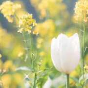 ヒメ日記 2025/01/29 14:45 投稿 みれい 横浜おかあさん