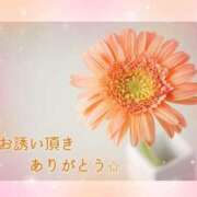 ヒメ日記 2025/02/15 12:05 投稿 みれい 横浜おかあさん