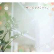 ヒメ日記 2025/02/16 08:15 投稿 みれい 横浜おかあさん