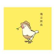 ヒメ日記 2025/02/17 08:15 投稿 みれい 横浜おかあさん