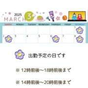 ヒメ日記 2025/02/25 11:45 投稿 みれい 横浜おかあさん