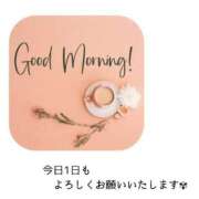 ヒメ日記 2025/03/12 10:51 投稿 みれい 横浜おかあさん