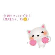 ヒメ日記 2025/03/17 12:25 投稿 みれい 横浜おかあさん