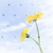 ヒメ日記 2025/04/12 10:25 投稿 みれい 横浜おかあさん