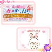 ヒメ日記 2025/04/16 12:05 投稿 みれい 横浜おかあさん