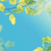 ヒメ日記 2025/05/04 16:45 投稿 みれい 横浜おかあさん