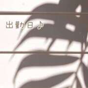 ヒメ日記 2025/05/13 12:45 投稿 みれい 横浜おかあさん