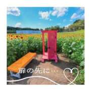 ヒメ日記 2025/05/13 18:45 投稿 みれい 横浜おかあさん