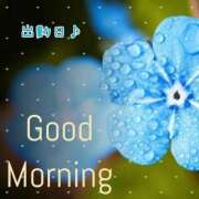 ヒメ日記 2025/06/22 09:35 投稿 みれい 横浜おかあさん