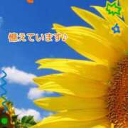 ヒメ日記 2025/07/22 09:55 投稿 みれい 横浜おかあさん