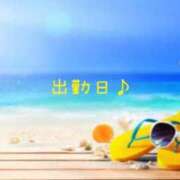 ヒメ日記 2025/07/26 10:25 投稿 みれい 横浜おかあさん