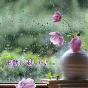 ヒメ日記 2025/08/01 14:05 投稿 みれい 横浜おかあさん