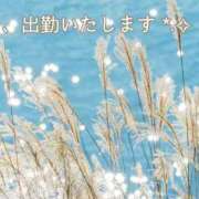 ヒメ日記 2025/09/14 12:05 投稿 みれい 横浜おかあさん