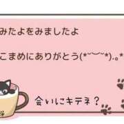 ヒメ日記 2025/09/23 14:35 投稿 みれい 横浜おかあさん