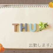 ヒメ日記 2025/10/23 11:25 投稿 みれい 横浜おかあさん