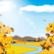 ヒメ日記 2025/11/21 11:08 投稿 みれい 横浜おかあさん