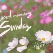 ヒメ日記 2025/11/23 10:17 投稿 みれい 横浜おかあさん