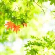 ヒメ日記 2025/11/24 10:47 投稿 みれい 横浜おかあさん