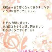 ヒメ日記 2025/11/30 09:25 投稿 みれい 横浜おかあさん
