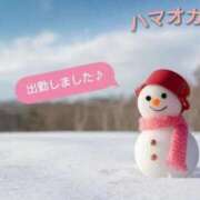 ヒメ日記 2026/01/28 15:05 投稿 みれい 横浜おかあさん