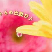 ヒメ日記 2026/02/25 12:43 投稿 みれい 横浜おかあさん