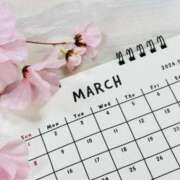 ヒメ日記 2026/03/01 11:29 投稿 みれい 横浜おかあさん