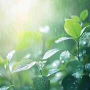 ヒメ日記 2026/03/03 18:05 投稿 みれい 横浜おかあさん