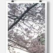 ヒメ日記 2026/03/24 08:25 投稿 みれい 横浜おかあさん