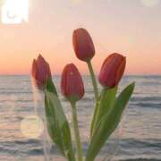 ヒメ日記 2026/03/27 22:55 投稿 みれい 横浜おかあさん