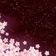 みれい お手紙です✰ 横浜おかあさん