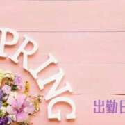 ヒメ日記 2026/04/11 14:26 投稿 みれい 横浜おかあさん