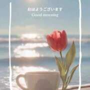 ヒメ日記 2026/04/26 10:19 投稿 みれい 横浜おかあさん