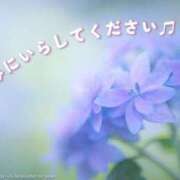 ヒメ日記 2026/05/29 13:45 投稿 みれい 横浜おかあさん