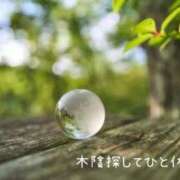 ヒメ日記 2026/07/31 13:55 投稿 みれい 横浜おかあさん