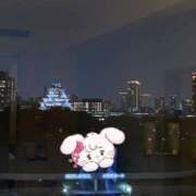 ヒメ日記 2025/09/17 23:55 投稿 せりか 奥鉄オクテツ大阪