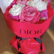 ヒメ日記 2026/01/31 11:20 投稿 せりか 奥鉄オクテツ大阪