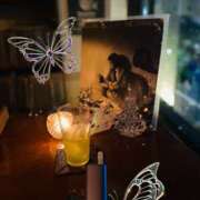 ヒメ日記 2025/09/24 23:50 投稿 せりか 奥鉄オクテツ兵庫