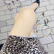 ヒメ日記 2025/10/24 12:45 投稿 せりか 奥鉄オクテツ兵庫