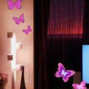 ヒメ日記 2025/11/29 11:00 投稿 せりか 奥鉄オクテツ兵庫