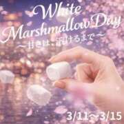 ヒメ日記 2026/03/08 23:40 投稿 せりか 奥鉄オクテツ兵庫