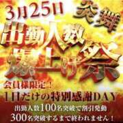ヒメ日記 2026/03/24 22:40 投稿 せりか 奥鉄オクテツ兵庫