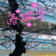 ヒメ日記 2026/03/27 23:45 投稿 せりか 奥鉄オクテツ兵庫