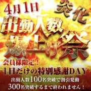 ヒメ日記 2026/03/29 21:15 投稿 せりか 奥鉄オクテツ兵庫