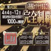 ヒメ日記 2026/04/10 08:00 投稿 せりか 奥鉄オクテツ兵庫