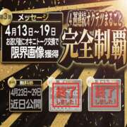 ヒメ日記 2026/04/15 08:30 投稿 せりか 奥鉄オクテツ兵庫